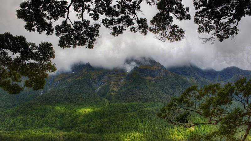 Trey Ratcliff, Photography, Landscape, Mountains, Forest, Mist Wallpaper