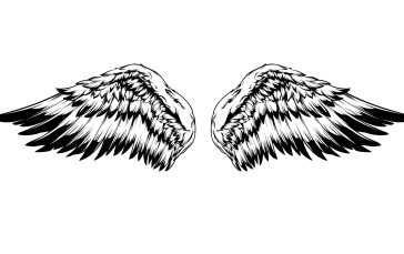 Wings, White Background, Simple Background, Minimalism Wallpaper