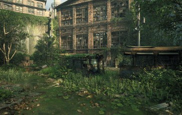 The Last of Us, PC Gaming, Overgrown, Zombie Apocalypse, Video Games, Leaves Wallpaper