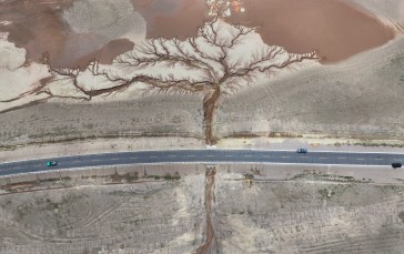 Tree of the Earth, Landscape, Aerial View, Road Wallpaper