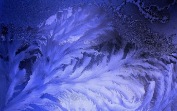 Frost, Winter, Glass, Nature Wallpaper