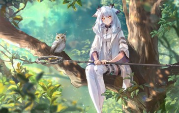 Anime Girls, Leaves, Branch, Trees, Owl, Animals Wallpaper