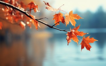 AI Art, Fall, Leaves, Maple Leaves Wallpaper
