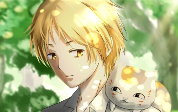 Natsume Yuujinchou, Anime Boys, Cats, Animals, Trees, Blonde Wallpaper