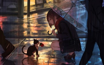 Anime, Umbrella, Rose, Bag, Rain Wallpaper