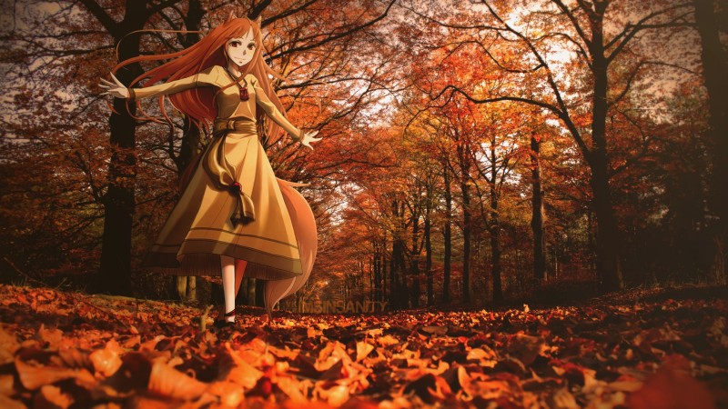 Holo (Spice and Wolf), Fall, Animeirl, Standing, Anime Girls, Long Hair Wallpaper