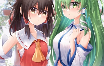 Anime, Anime Girls, Touhou, Hakurei Reimu, Kochiya Sanae Wallpaper