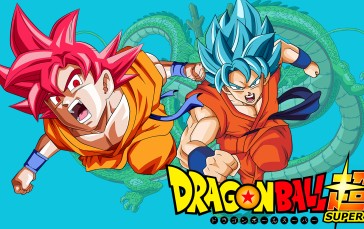 Dragon Ball Super, Super Saiyan God, Super Saiyan Blue, Son Goku, Anime Men Wallpaper