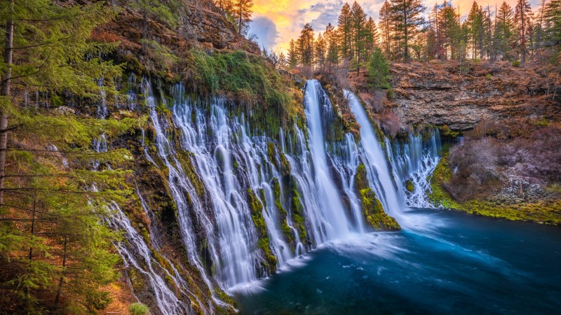 Waterfall, Nature, USA, California, Moss, Trees Wallpaper