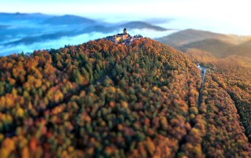 Forest, Fall, Nature, Castle Wallpaper