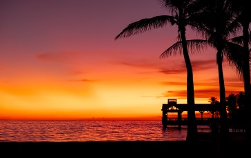 Sunset, Beach, Palm Trees, Pier, Dock Wallpaper