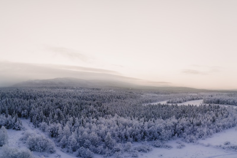 Finland, Winter, Mist, Snow, Frost, Forest Wallpaper