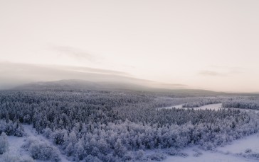 Finland, Winter, Mist, Snow, Frost, Forest Wallpaper