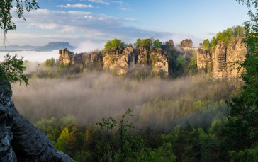 Rocks, Forest, Nature, Germany, Bastei Wallpaper