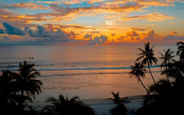 Landscape, Sunset, Clouds, Palm Trees, Carribean, Sunset Glow Wallpaper