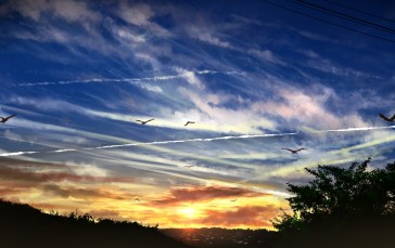 Clouds, Sunset, Birds, Sky, Sunset Glow Wallpaper