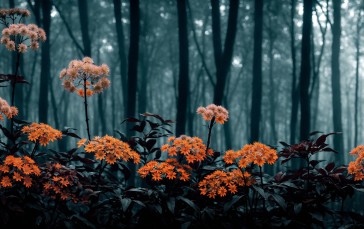 AI Art, Forest, Landscape, Flowers Wallpaper