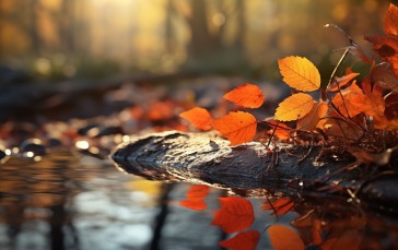AI Art, Leaves, Fall, Orange, Water Wallpaper