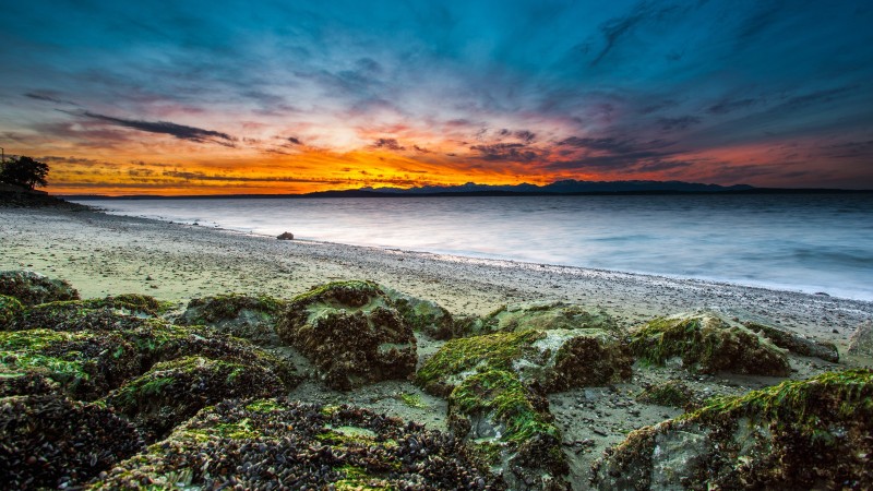 Sunset, Sea Side, Seashore, Nature Wallpaper