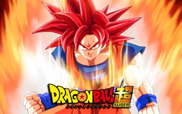 Dragon Ball Super, Super Saiyan God, Anime Men, Son Goku Wallpaper