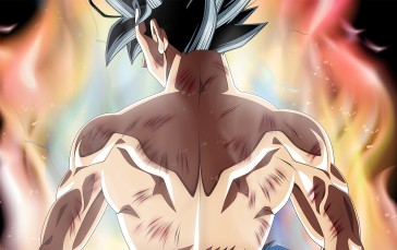 Dragon Ball Super, Ultra-Instinct Goku, Ultra Instinct, Son Goku, Bareback, Shirtless Wallpaper
