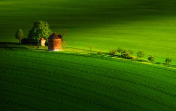 Nature, Landscape, Trees, Field, Green, Windmill Wallpaper