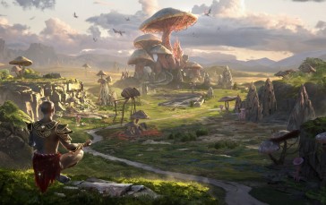 The Elder Scrolls III: Morrowind, Loading Screen, Mushroom, Yoga Pose Wallpaper