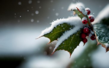 Winter, Snow, Christmas, Minimalism Wallpaper