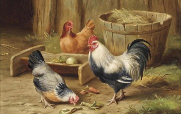 Artwork, Animals, Birds, Chickens Wallpaper