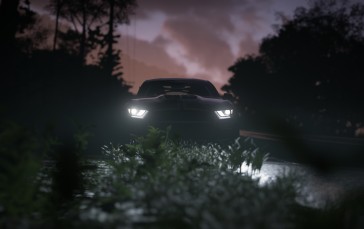 Forza Horizon 5, Trees, Headlights, Dark, Sky (game) Wallpaper