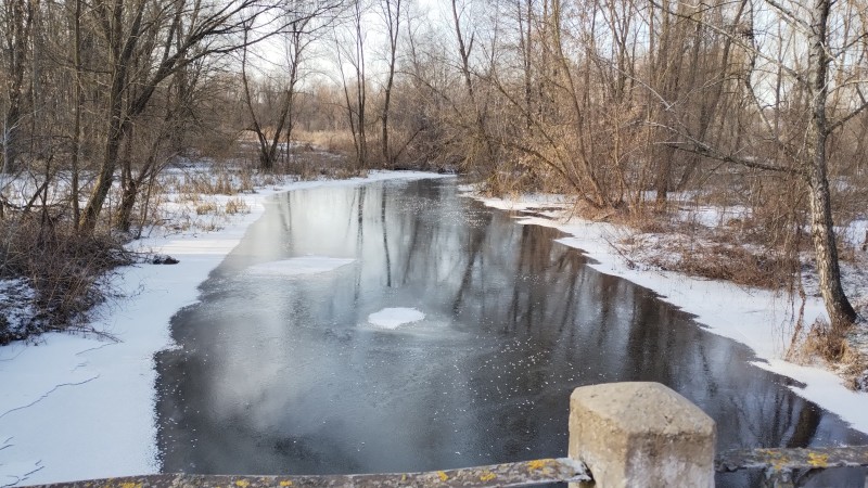 Winter, River, Ice, Swamp Wallpaper