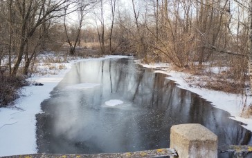 Winter, River, Ice, Swamp Wallpaper