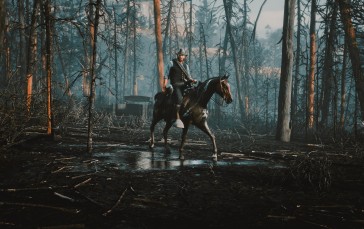Game Photography, Red Dead Redemption 2, Rockstar Games, Horse Wallpaper