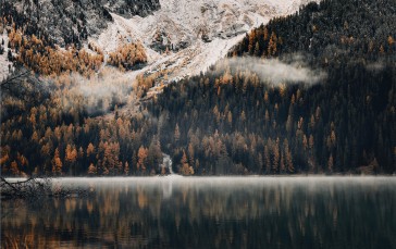 Forest, Trees, Nature, Water, Lake, Snow Wallpaper