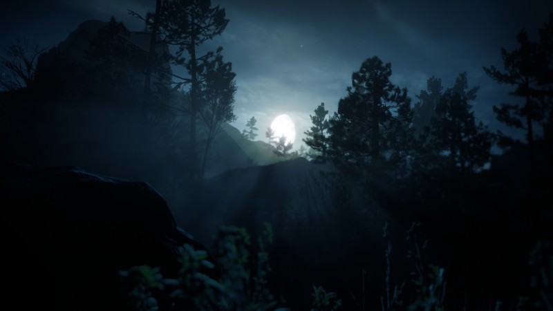 Moon Rays, Nature, Red Dead Redemption 2, Mist Wallpaper