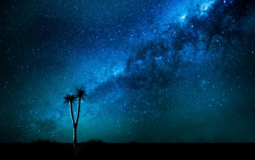 Trey Ratcliff, Photography, Sky, Starry Night, Night Wallpaper