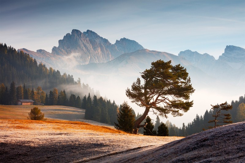 Nature, Landscape, Trees, Martin Rak, Dolomites Wallpaper
