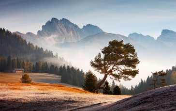 Nature, Landscape, Trees, Martin Rak, Dolomites Wallpaper
