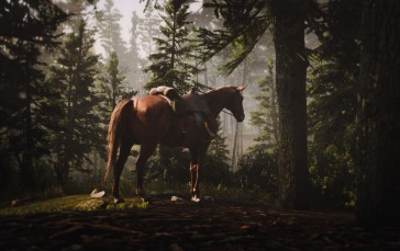 Game Photography, Red Dead Redemption 2, Rockstar Games, Horse, Animals Wallpaper