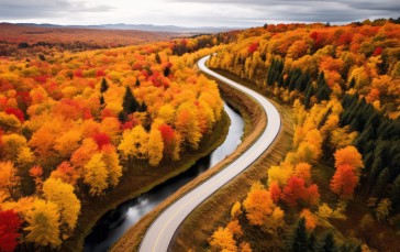 AI Art, Landscape, Road, Fall, Forest Wallpaper