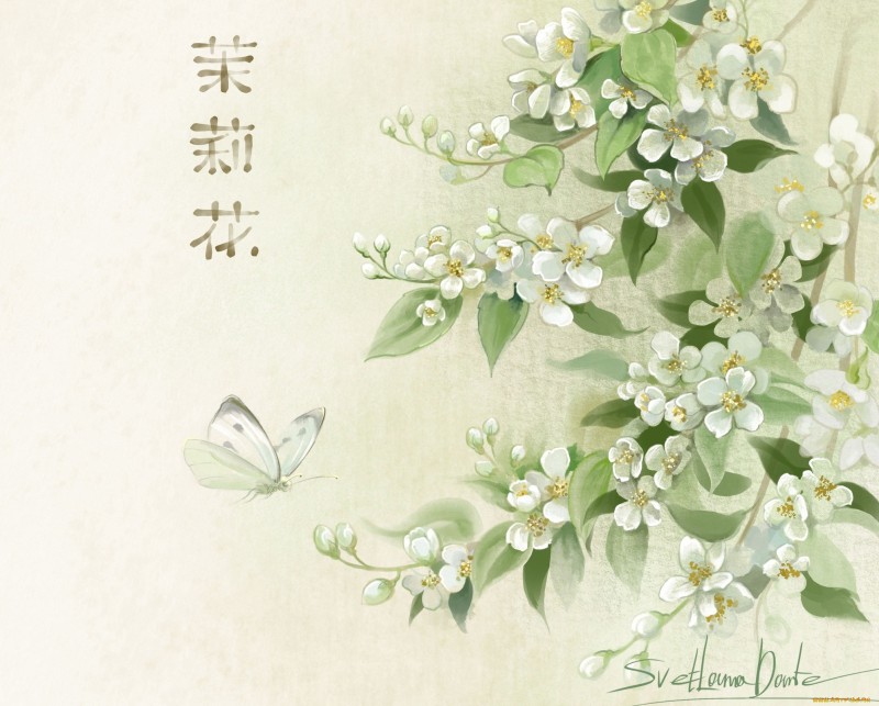 Flowers, Plants, Artwork, Butterfly Wallpaper