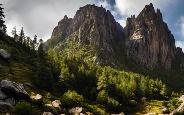 AI Art, Mountains, Forest, Sunny Scene, Rocks Wallpaper