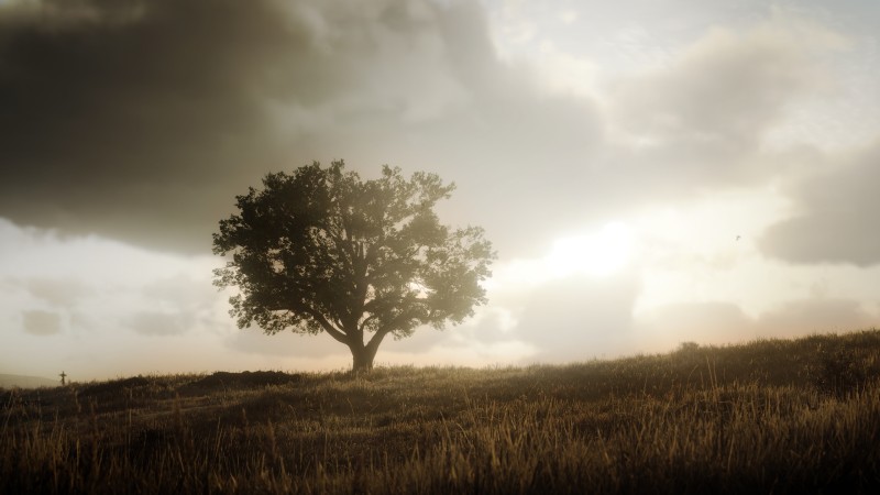 Red Dead Redemption 2, High Noon, Trees, Forest, Daylight Wallpaper