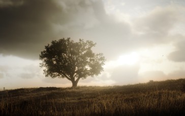 Red Dead Redemption 2, High Noon, Trees, Forest, Daylight Wallpaper