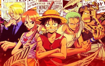 One Piece, Monkey D. Luffy, Nami, Roronoa Zoro Wallpaper