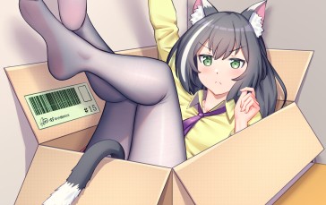 Cat Girl, Black Stockings, Portrait Display, Anime Girls Wallpaper