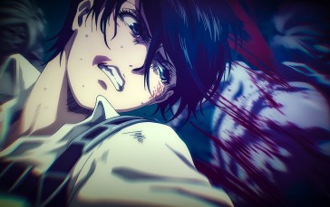 Screen Shot, Upscaled, Shingeki No Kyojin, Face, Mikasa Ackerman Wallpaper