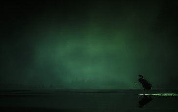 Red Dead Redemption 2, Nature, Night, Ghoul Wallpaper