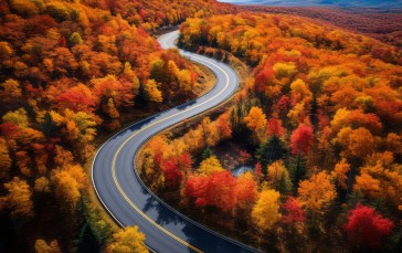 AI Art, Landscape, Road, Fall Wallpaper
