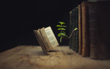 Brown, Books, Miniatures, Plants, Reading Wallpaper